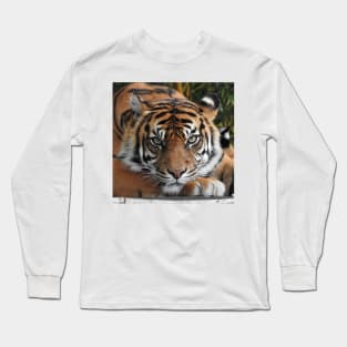 Sumatran Tiger Long Sleeve T-Shirt